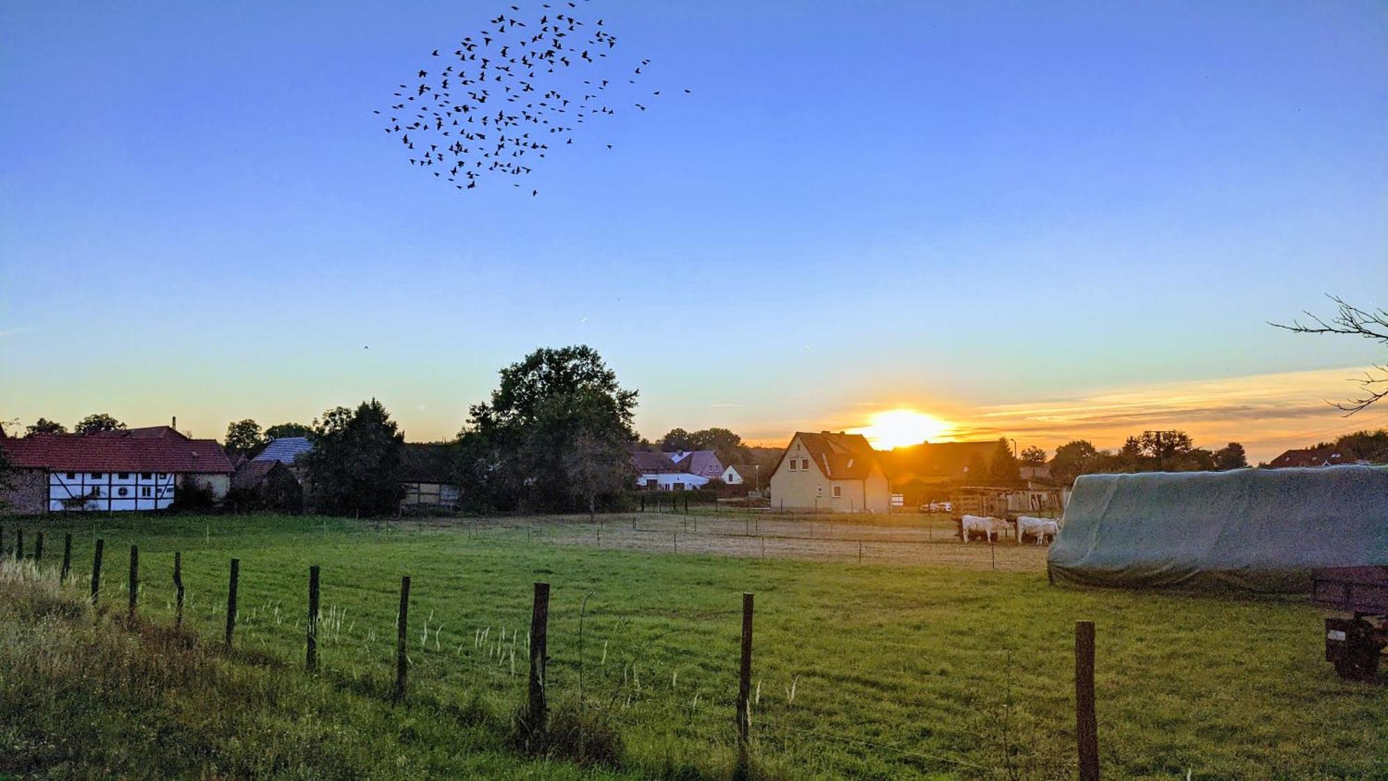 Gelbes Haus Seenland Ferienwohnungen Xl Elsterheide Екстер'єр фото